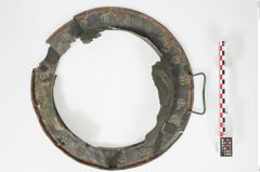 Foto von Bronzebreitrandschale (NHMW-PRAE-024910)